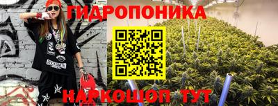 прущие грибы Краснознаменск