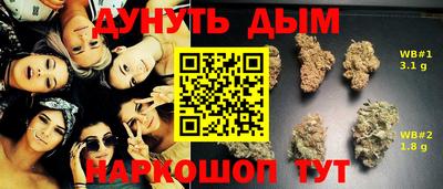 прущие грибы Краснознаменск