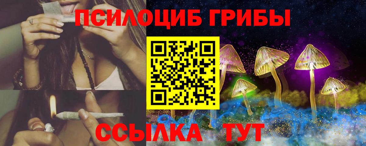 хочу   Вход с VPN  Коркино  Псилоцибиновые грибы GOLDEN TEACHER 